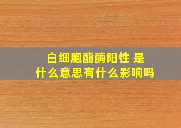 白细胞酯酶阳性 是什么意思有什么影响吗